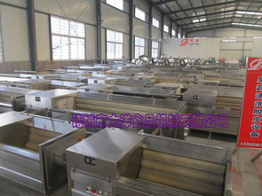 毛刷式刮魚鱗機,物美價廉的魚鱗處理設備