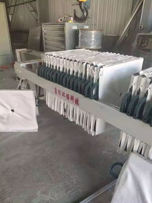 為環保而生 只為環境而來